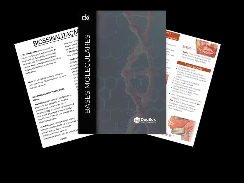 Capa do resumo de Bases Moleculares